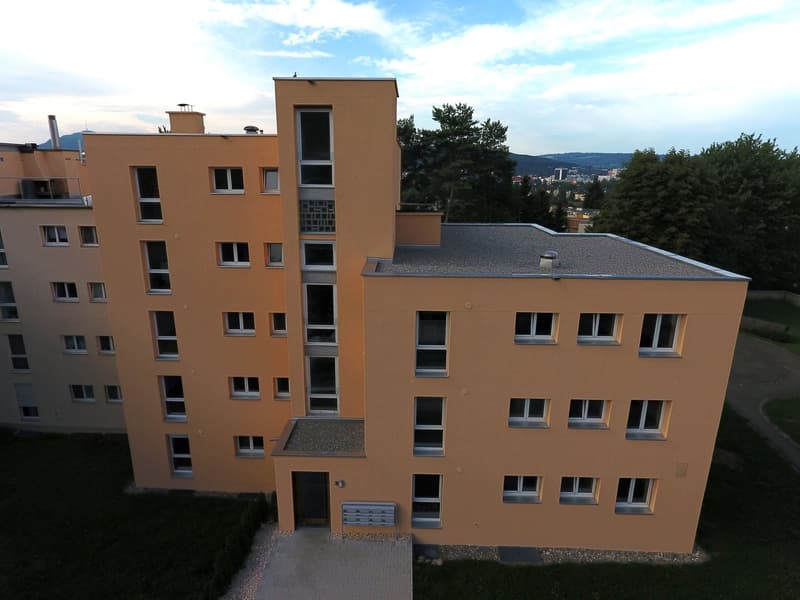 Moderne 3.5-Zimmerwohnung an ruhiger und grüner Lage (1)