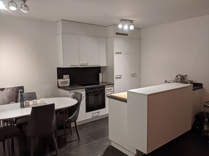 Moderne 3.5-Zimmer-Wohnung in Zürich zu vermieten! (2)