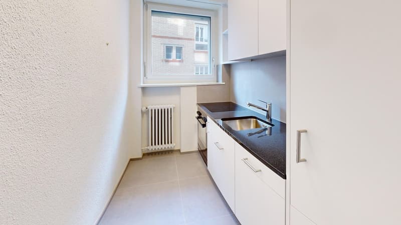 Moderne 1-Zimmerwohnung beim Helvetiaplatz zu vermieten! (1)