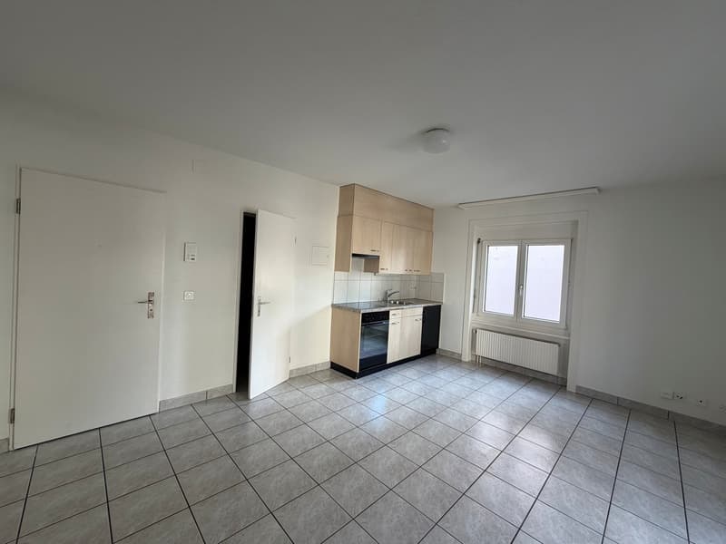 Helle 1-Zimmer-Wohnung mit Balkon an der Birmensdorferstrasse in Zürich (2)
