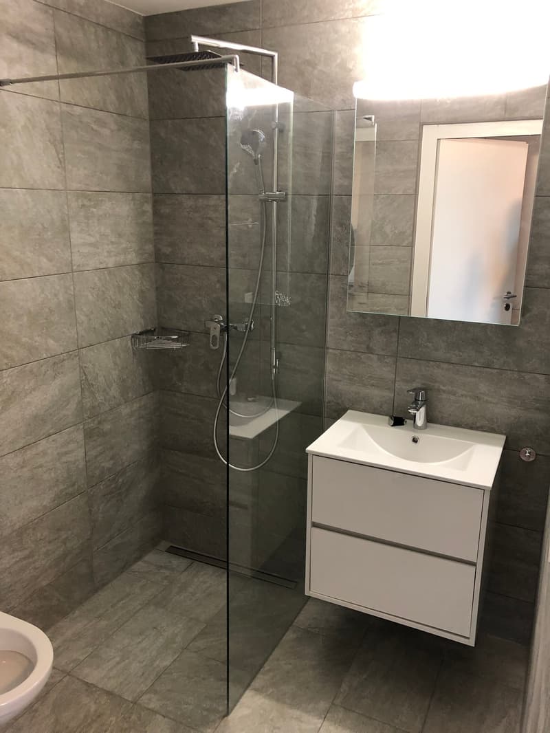 Möbilierte 1.5-Zimmer-Wohnung mit Balkon in Zürich (2)