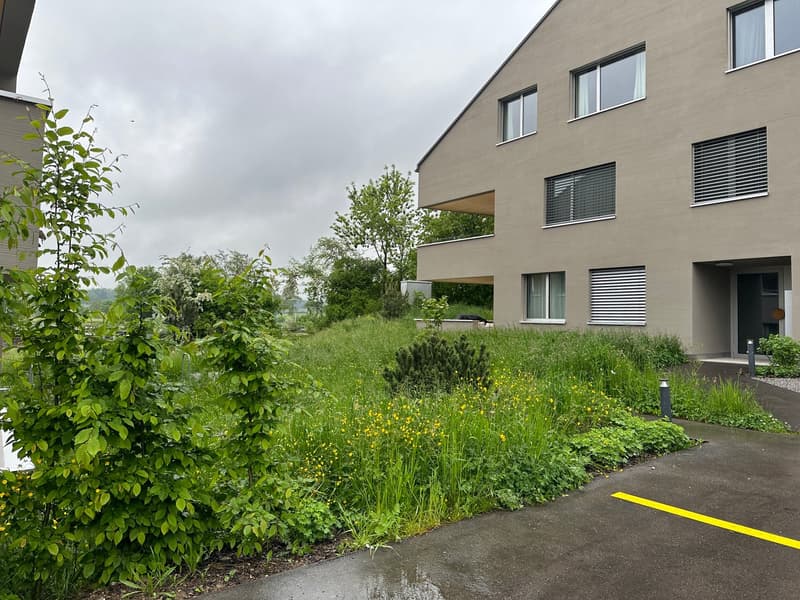 Grosszügige moderne 2.5-Zimmerwohnung (1)