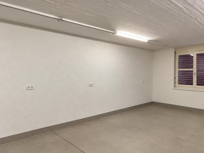 Vielseitige Gewerbefläche mit 140 m² in Lupfig zu vermieten (6)