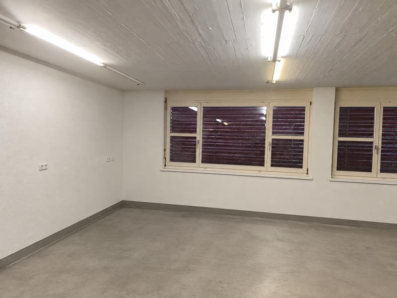 Vielseitige Gewerbefläche mit 140 m² in Lupfig zu vermieten (7)
