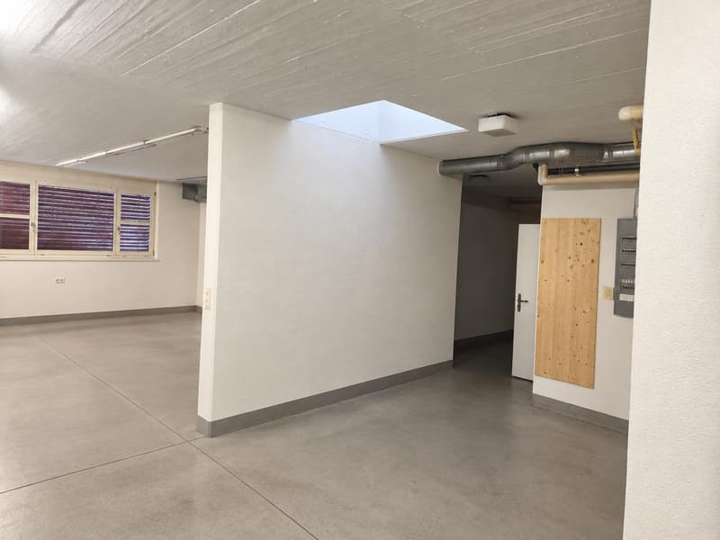 Vielseitige Gewerbefläche mit 140 m² in Lupfig zu vermieten (4)