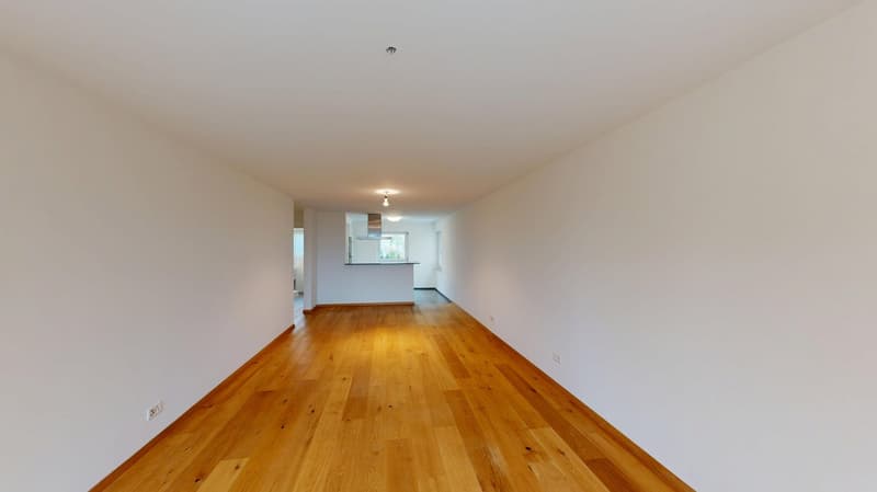 3.5-Zimmer-Wohnung in Unterengstringen zu vermieten! (4)