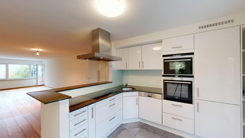 3.5-Zimmer-Wohnung in Unterengstringen zu vermieten! (1)