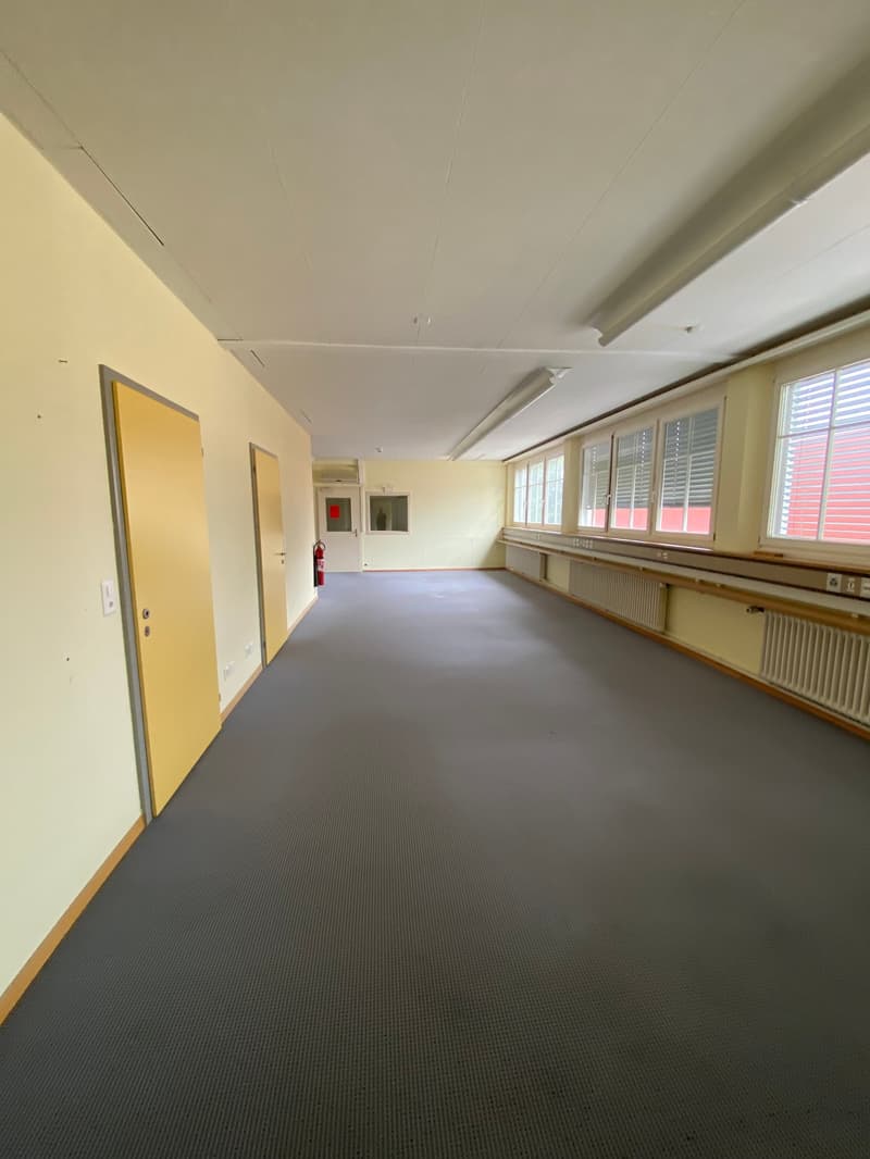 empty room, carpet floor, radiators, doors, windows