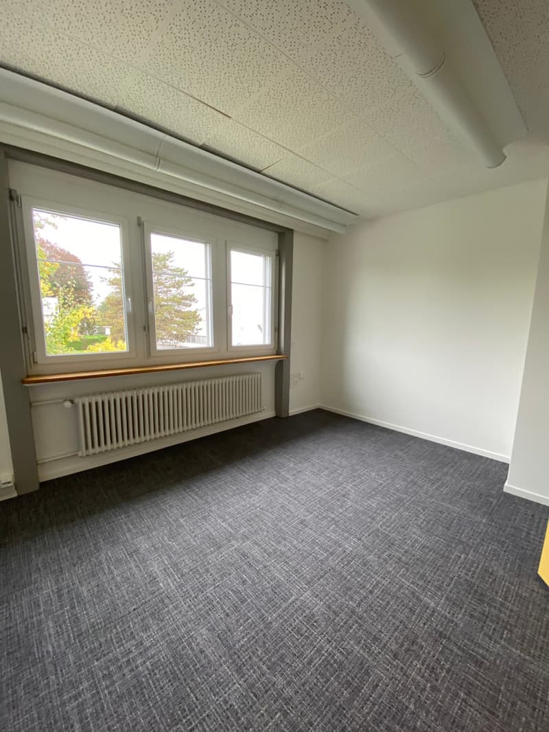 Ausgebaute Fläche im Gewerbeareal Rüti Nord (2)