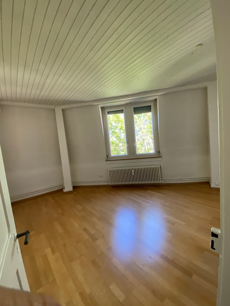 Einmalige 3-Zimmerwohnung an zentraler Lage zu vermieten (4)