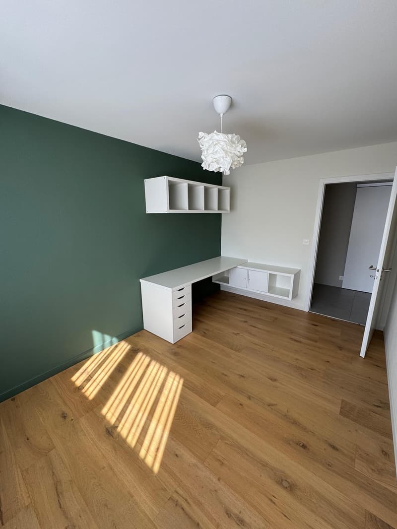 Magnifique maison entièrement rénovée (8)