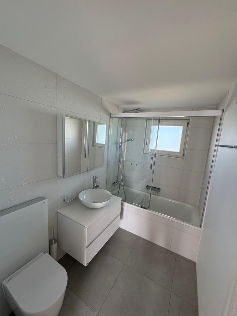 Magnifique maison entièrement rénovée (9)