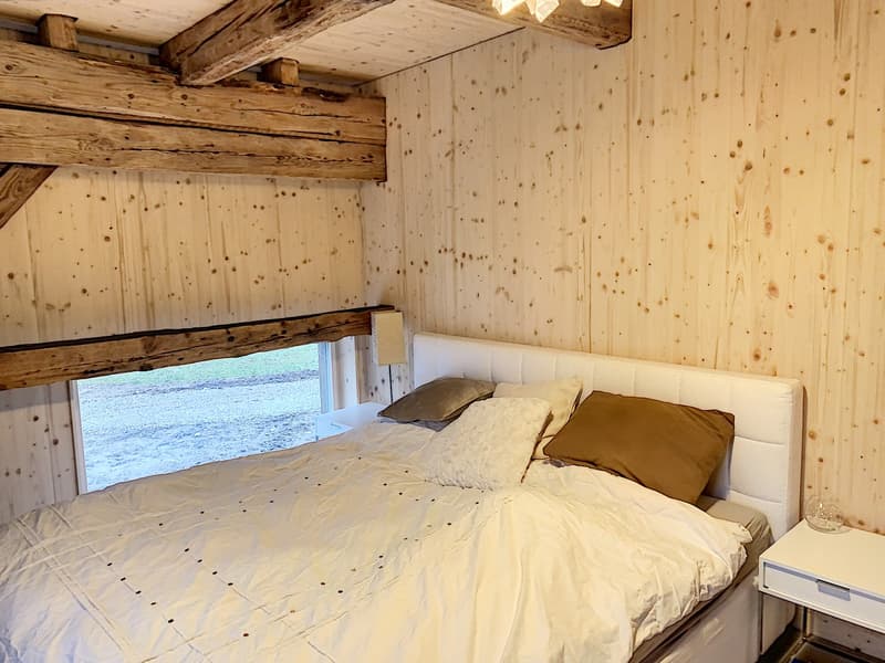 Bel appartement atypique de 3.5 pièces au rez-de-chaussée (8)