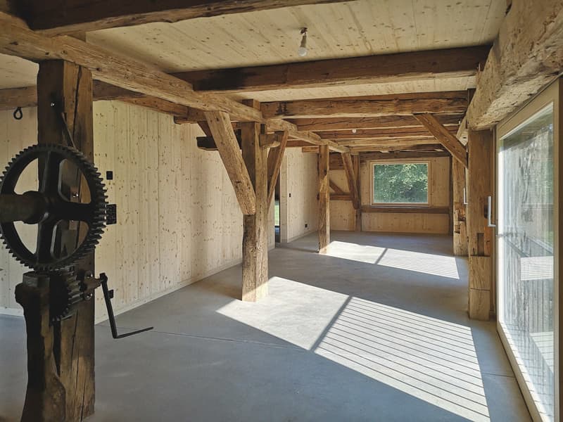 Bel appartement atypique de 3.5 pièces au rez-de-chaussée (7)
