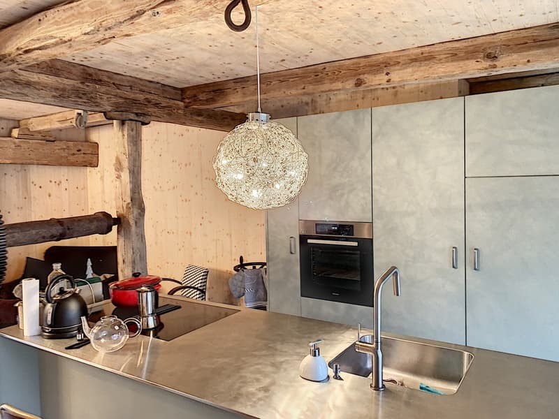 Bel appartement atypique de 3.5 pièces au rez-de-chaussée (2)