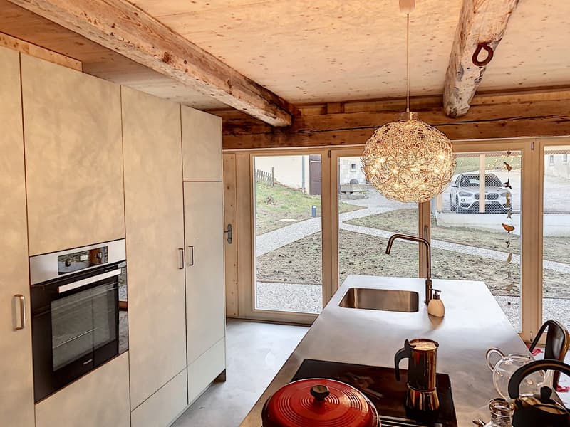 Bel appartement atypique de 3.5 pièces au rez-de-chaussée (4)