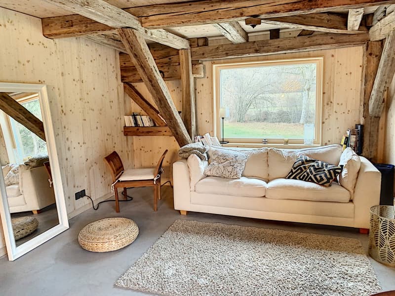 Bel appartement atypique de 3.5 pièces au rez-de-chaussée (6)