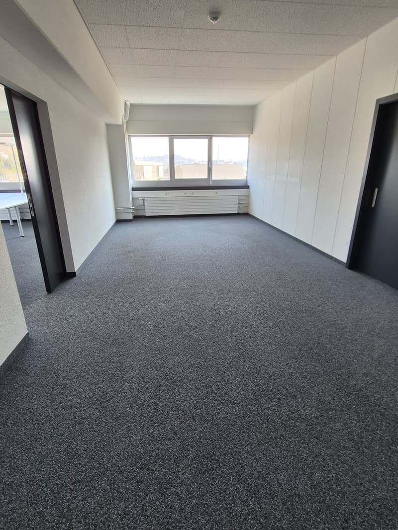 Bureaux lumineux et modulables/divisibles dans un emplacement central proximité de lautoroute (8)