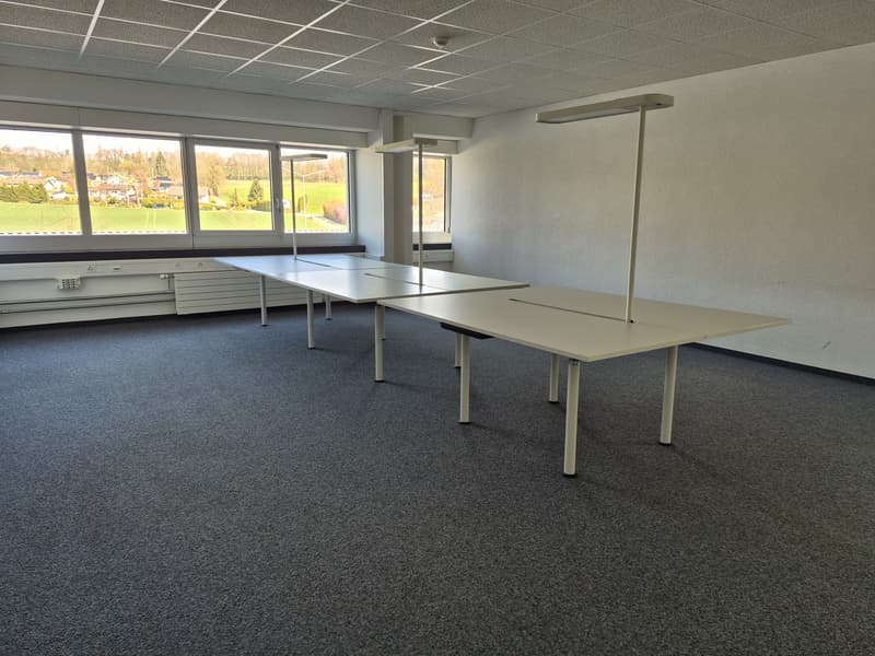 Bureaux lumineux et modulables/divisibles dans un emplacement central proximité de lautoroute (12)