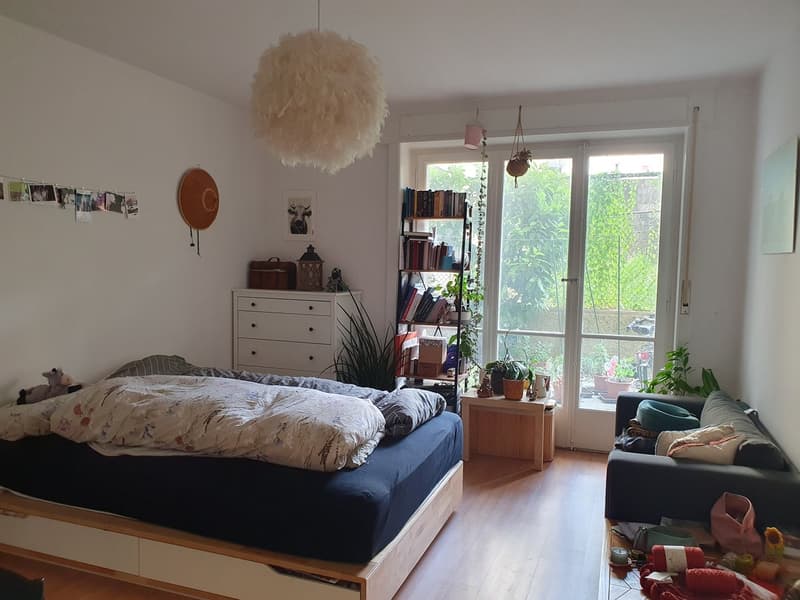 Appartement 1.5 pièces au 1er ss (3)