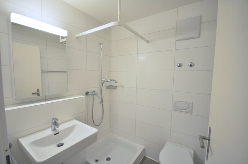 Appartement 2.5 pièces au 6ème étage (3)