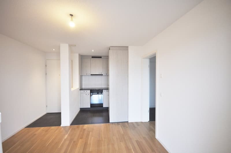 Appartement 2.5 pièces au 6ème étage (1)