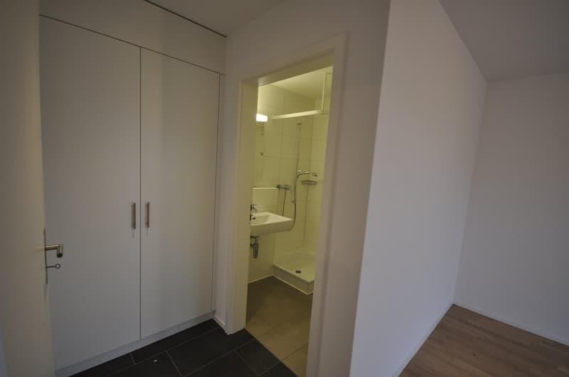 Appartement 2.5 pièces au 6ème étage (4)