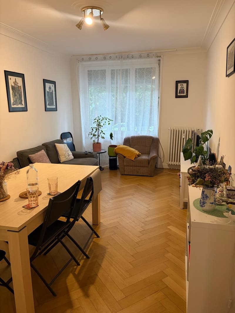 Appartement 2 pièces au REZ (2)