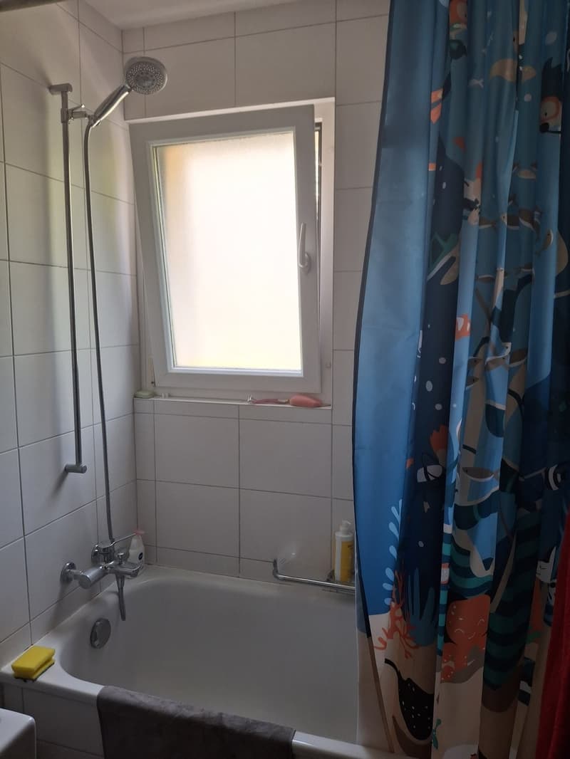 5.5 pièces au rez (5)