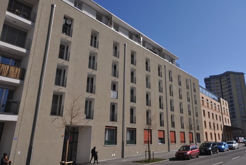 Appartementn 1.5 pièces au 2ème étage (2)