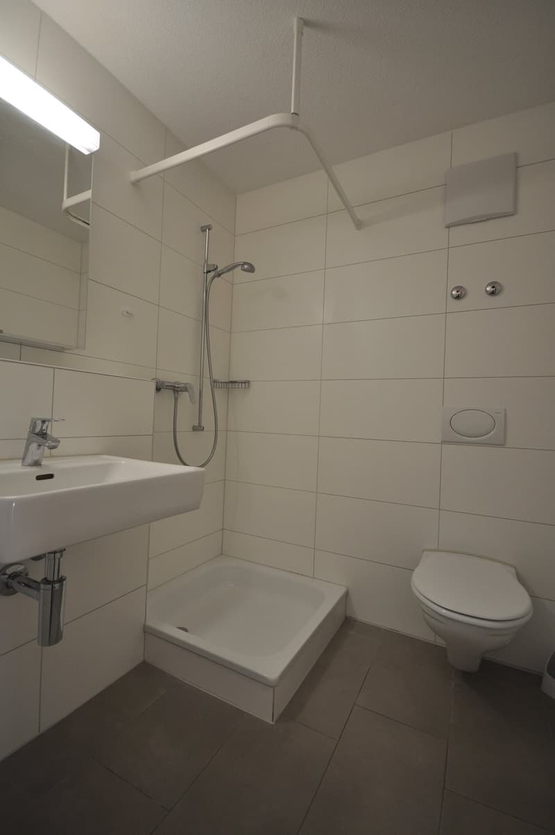 Appartement 1.5 pièces au 2ème étage (3)