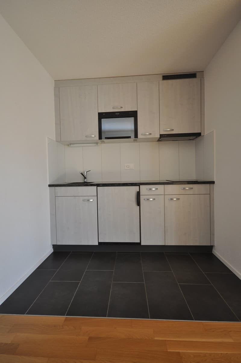 Appartement 1.5 pièces au 2ème étage (1)