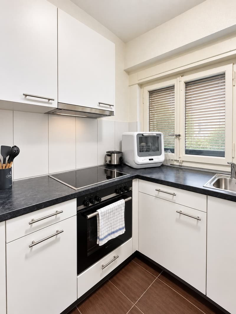 Appartement 1.5 pièces au 5ème étage (1)