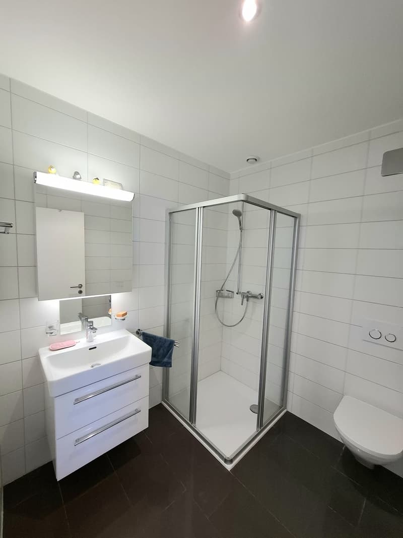 Appartement 4.5 pièces au 3ème étage (5)