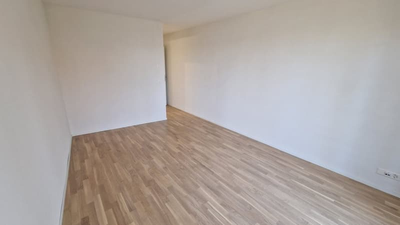 Appartement 3.5 pièces au rez (4)