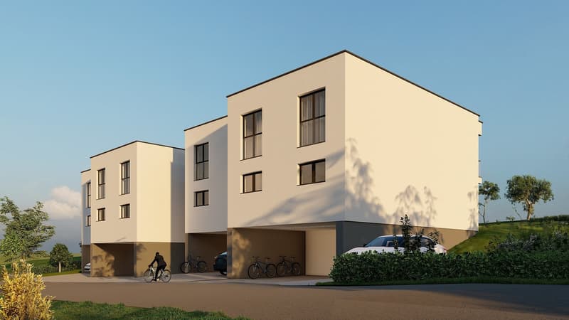Plus que 3 villas ! Venez visiter le chantier ! (11)