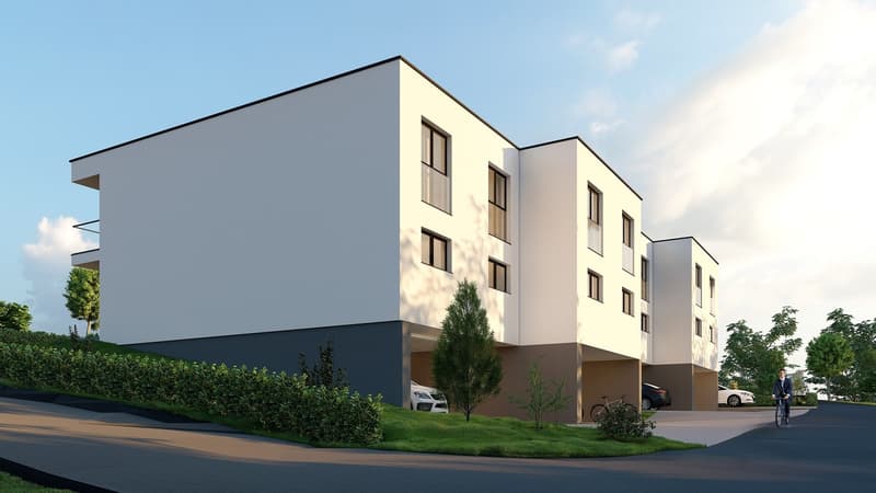 Plus que 3 villas ! Venez visiter le chantier ! (12)