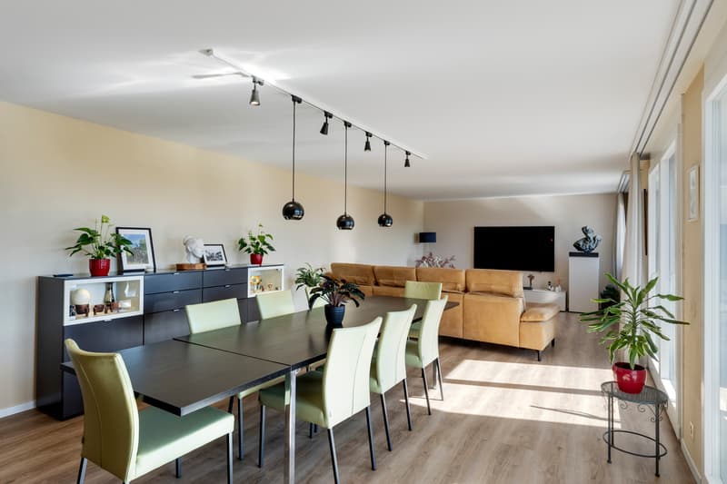 Superbe appartement de 150 m2 habitable, rénové à neuf (8)