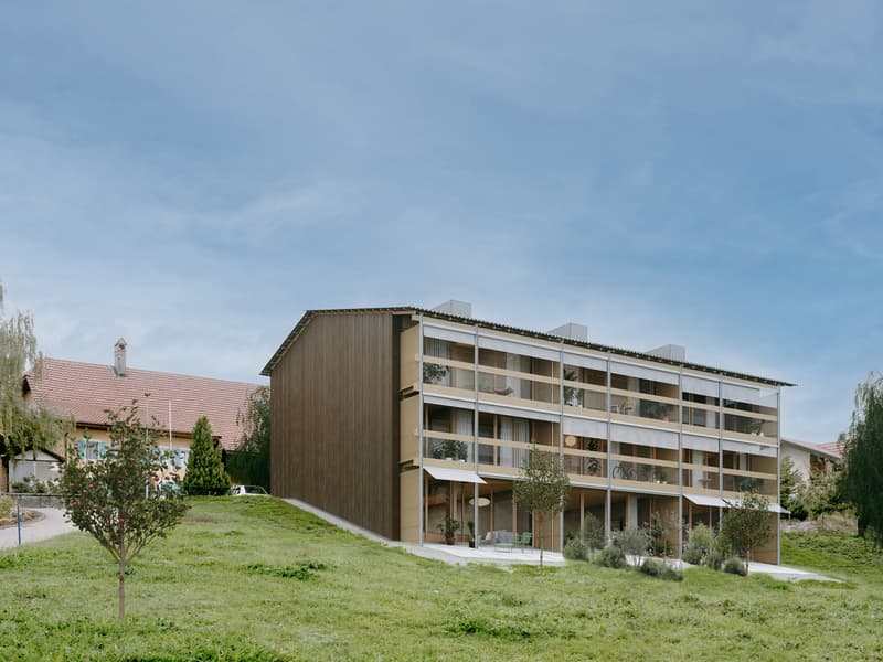 5 pièces avec terrasse, balcon et jardin (3)
