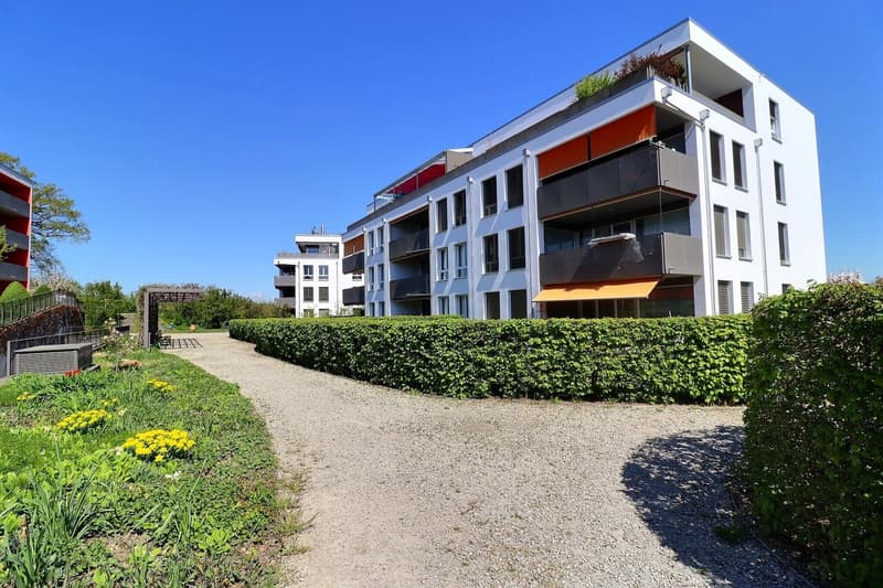 Appartement de 3.5p au 1er étage (8)