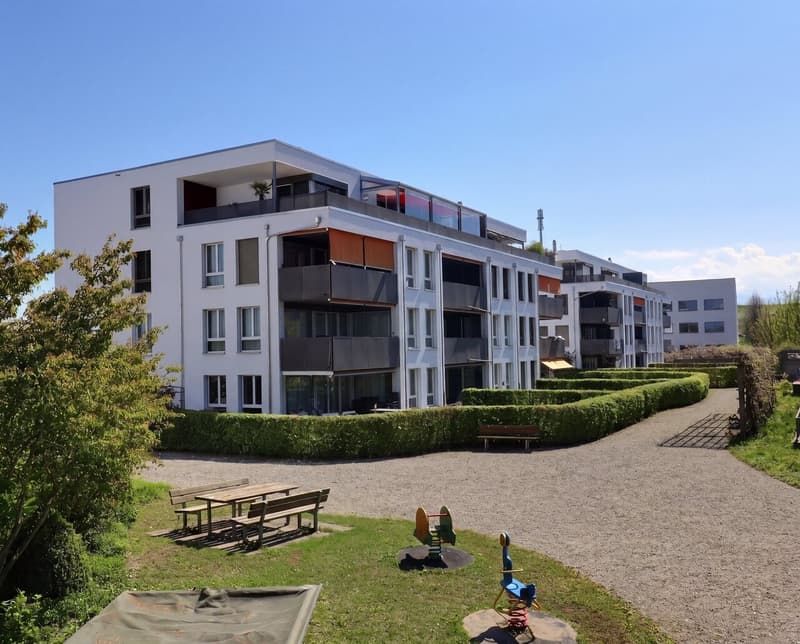 4½ pièces au rez avec terrasse et jardin (11)
