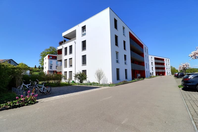 4½ pièces au rez avec terrasse et jardin (12)