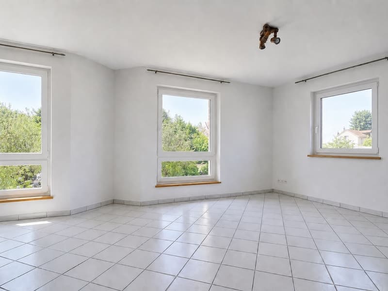 Belle maison de 6.5 pièces (2)