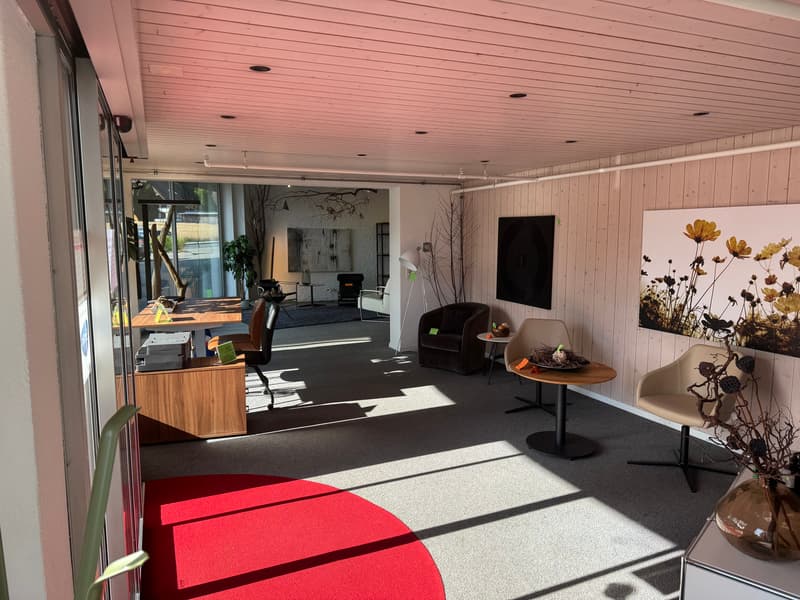 Ensemble immobilier mixte - axe stratégique Fribourg-Berne (2)