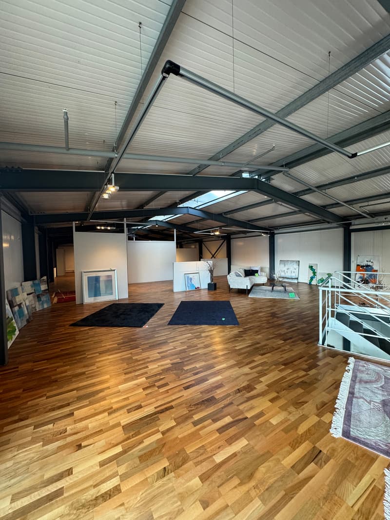 Ensemble immobilier mixte - axe stratégique Fribourg-Berne (7)