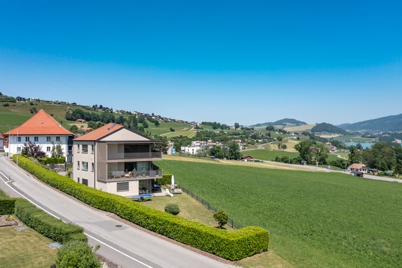 Superbe 5.5 pièces - Vue exceptionnelle et jardin privatif de 420m2 (9)