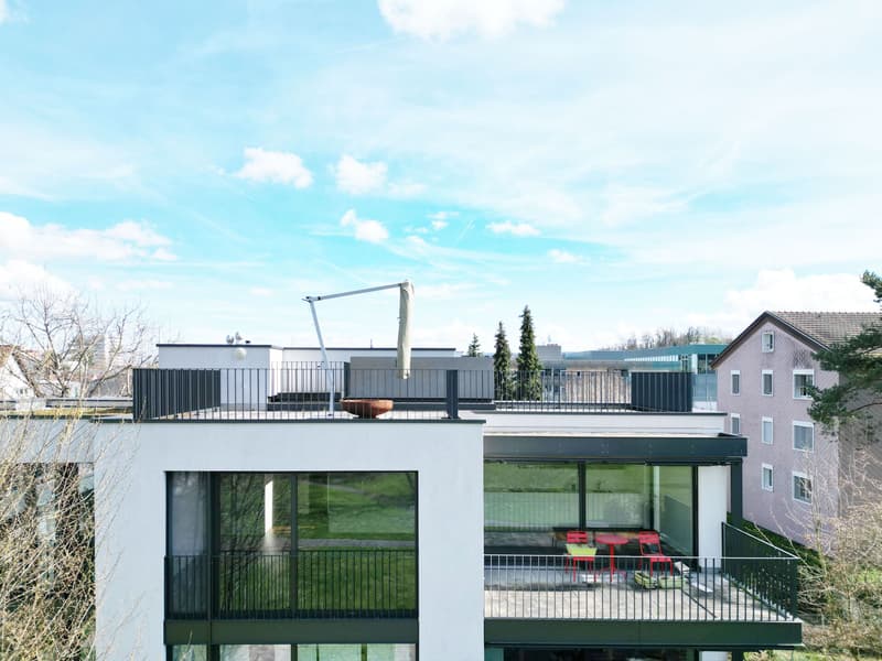 Moderne 4.5 Zimmerwohnung mit exklusiver Dachterrasse (1)