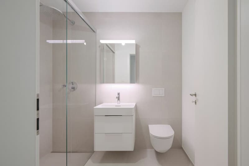 Your retreat in the heart of Reinach: Maisonette with private garden (7)