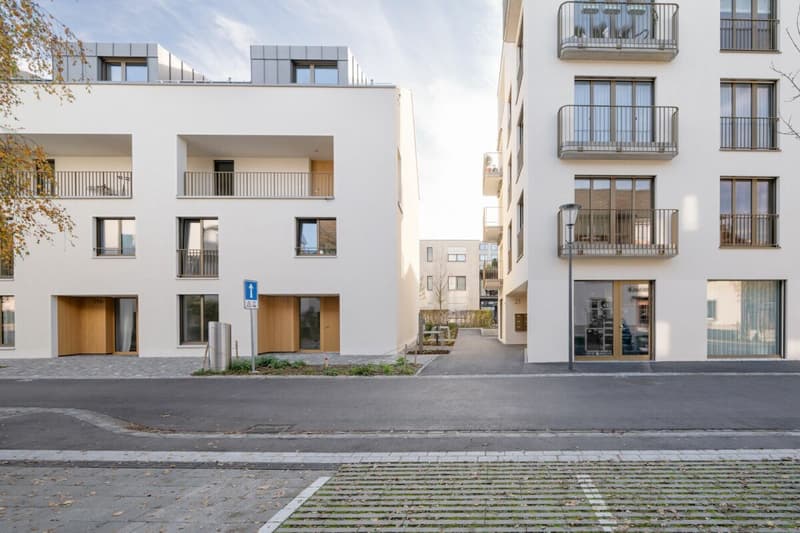 Your retreat in the heart of Reinach: Maisonette with private garden (10)