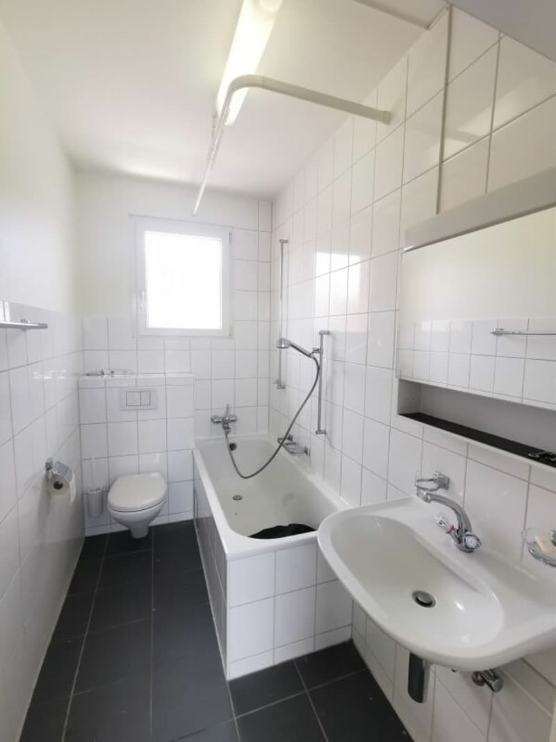 Appartamento di 3 camere in posizione centrale vicino al parco Kannenfeld (3)
